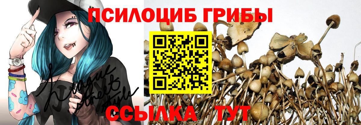 купить наркотики цена  Псилоцибиновые грибы ЛСД  Вход с VPN  Россия 